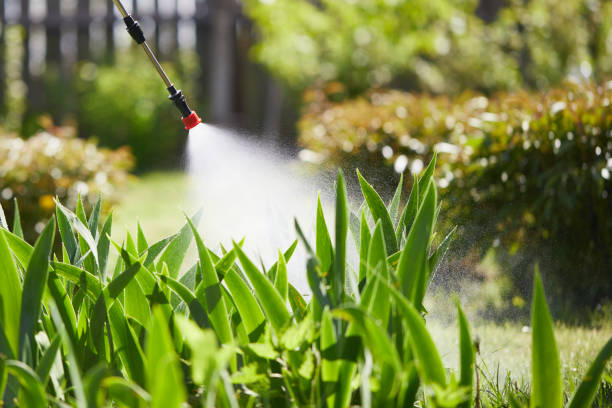 24/7 Emergency Rodent Control experts in Cave Junction, OR
