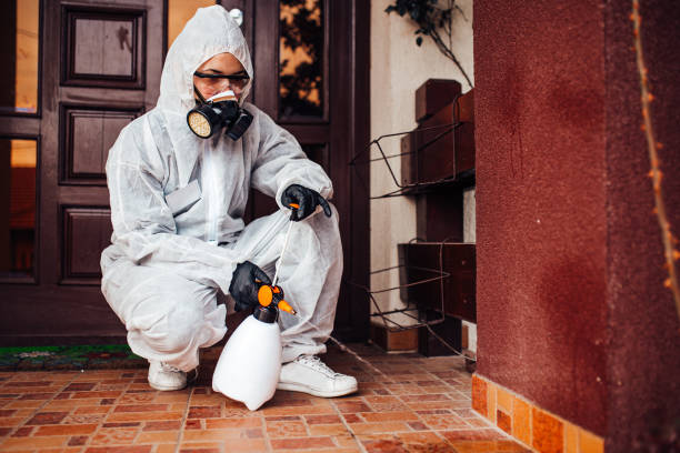 Reliable Rodent Control contractor in Cave Junction, OR by Nex Pest Control