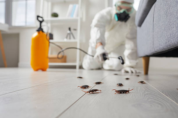 Trusted Fumigation Services service in Cave Junction, OR - Nex Pest Control